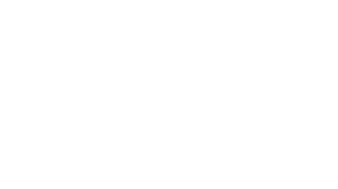 CEO Institute